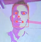 Fig. 3 - Face detection