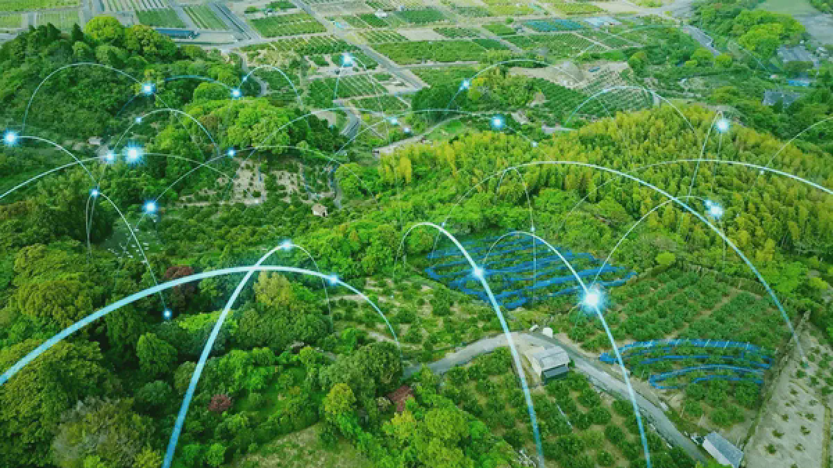 Featured image for Exploring wireless communication protocols on ESP32 platform for outdoor applications