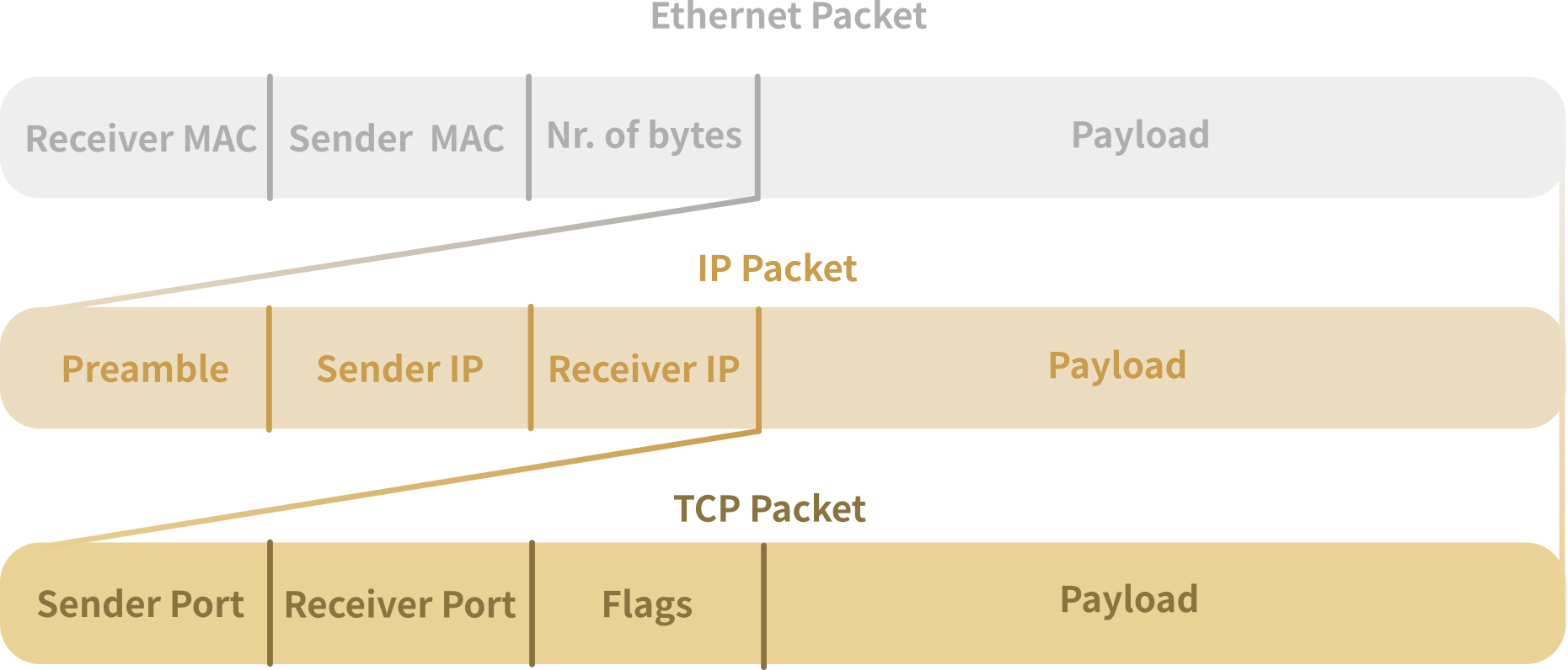Fig.2 - Encapsulation