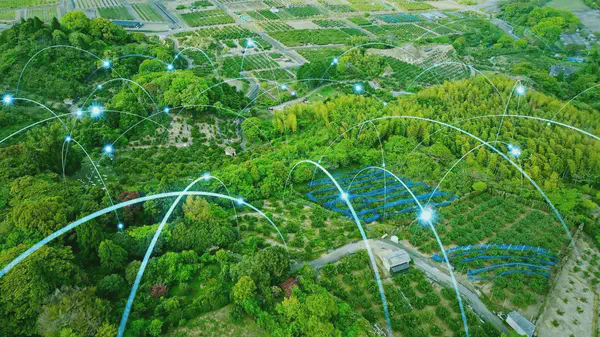 Exploring wireless communication protocols on ESP32 platform for outdoor applications