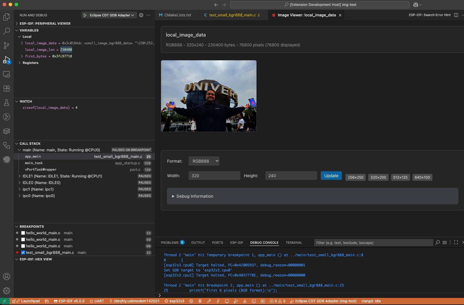 Debug Image Viewer rendering a C image array