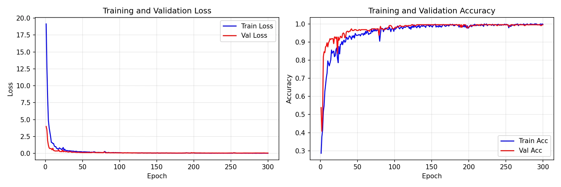Training Curves